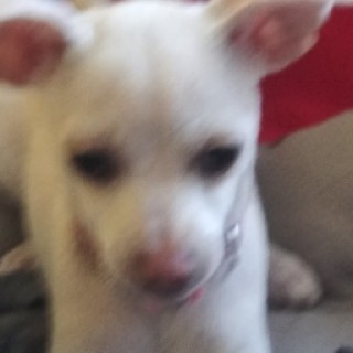 bananatime1234 avatar