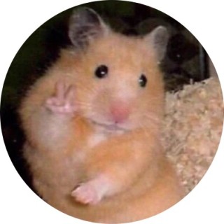 disastrouslifeline avatar