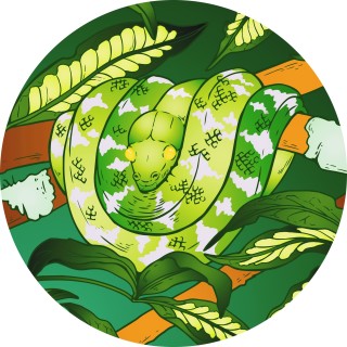 jacehackedyou_ avatar