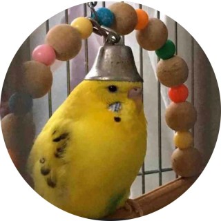 UnseeTheseMemes avatar