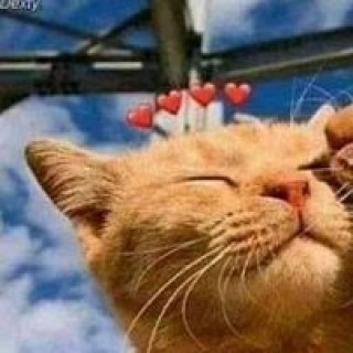 villatorobrayan87 avatar