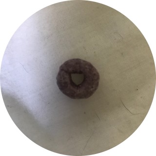 brennamaggie11 avatar