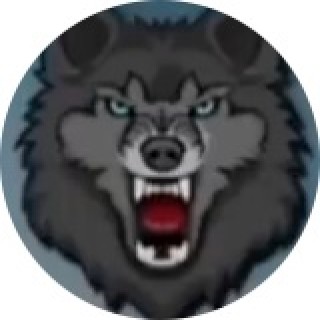 firstustenro_kilani avatar