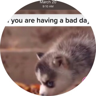 isaiah_finley avatar