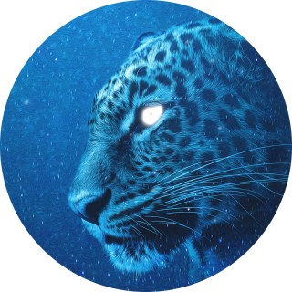 memezthatarehard avatar