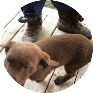 galixygirl4321 avatar