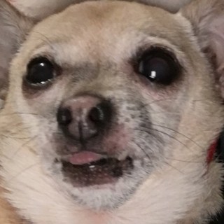 Idk_what_my_name_b avatar