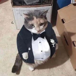 survivor_from_2020 avatar