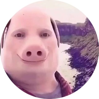 TheCoolMemeDealer avatar