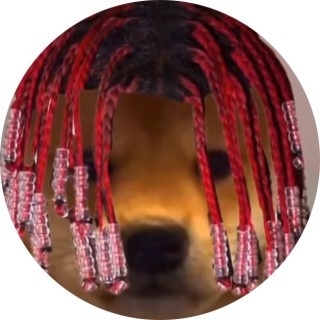 i_didnt_ask_th0 avatar