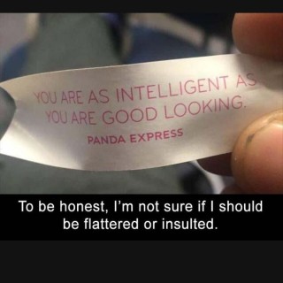 TherapyDogCoco avatar