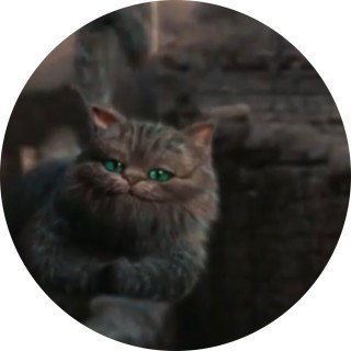 shadowkitkat avatar