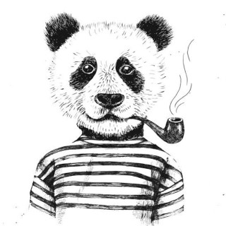 thelousypanda avatar