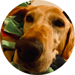 the_waffler_man avatar