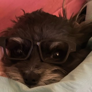 no_one_is_perfect avatar