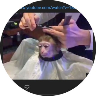 monky_has_bad_her avatar
