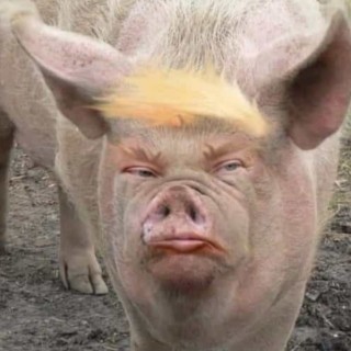 some_stolen_name avatar