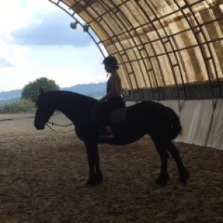 _.horse.sk.memes._ avatar