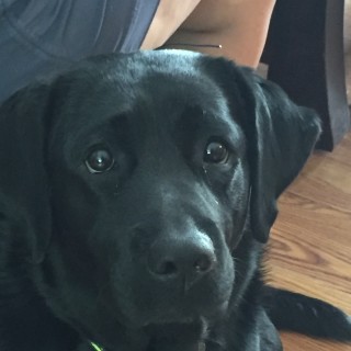 Max_Mayfield_Memes avatar