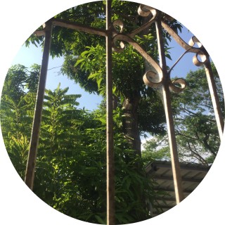 Yeetus_myfetus avatar