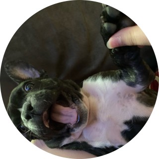 kayleigh_memes avatar