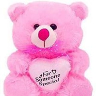 bhoomi.arora13 avatar