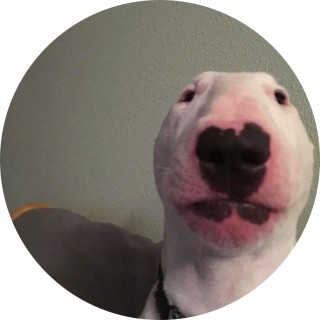 jalen_needs_help avatar