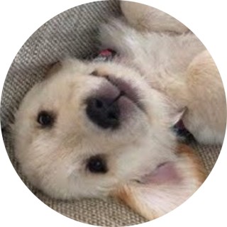 memes_are_life_bro5432 avatar