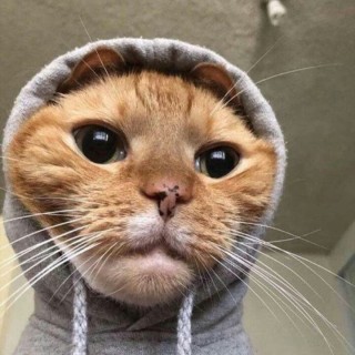 bill.witha.drip avatar