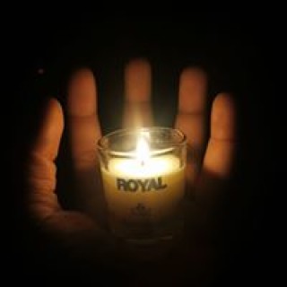 shandenegray12 avatar