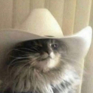 meowdypurrtner avatar