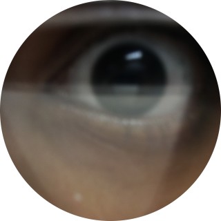 that_one_memeboy avatar