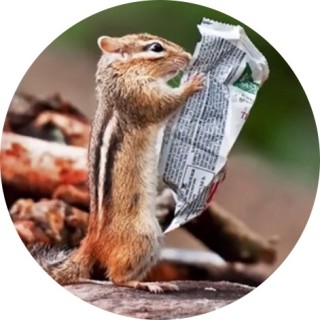 memer_makes_memes avatar