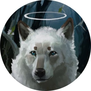 angle_icequeen_777 avatar