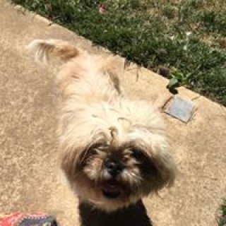 melanieisabosss123 avatar