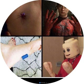 the_boss_of_memes avatar