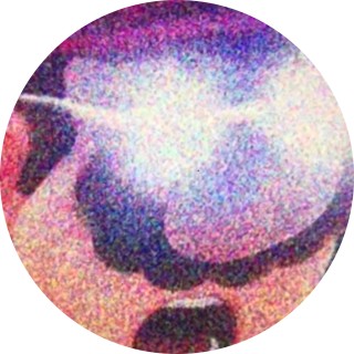 good_memes461 avatar