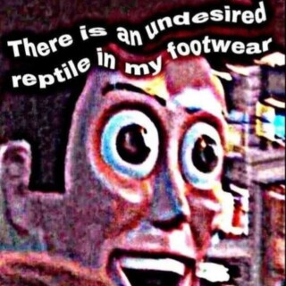 cheesy_cheeseburger9870 avatar