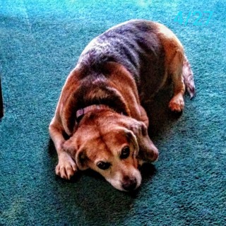 baha_blast_boy avatar