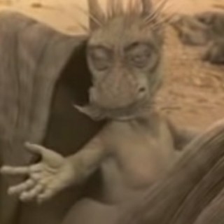 PaleFace3xinthemirror avatar