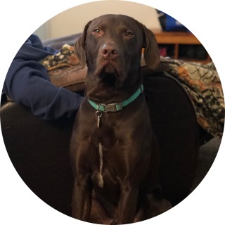 _faze_woody_341_ avatar