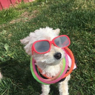 strawberry_cake avatar