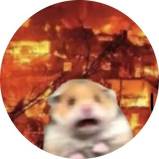 onerandommemer avatar