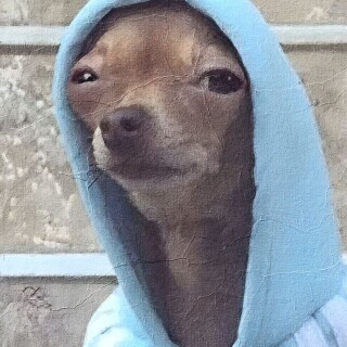 boneshocker5685 avatar