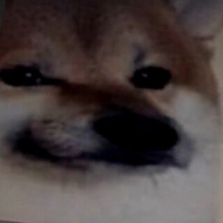 Henrylikesdogs07 avatar