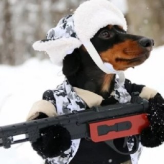 meme_guy14224 avatar