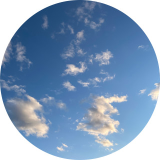 charlotte_memes2487 avatar