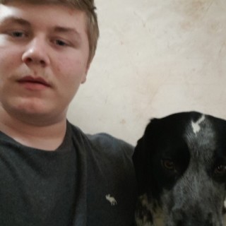 callumbreen542 avatar