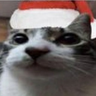 your_nuts_are_mine avatar