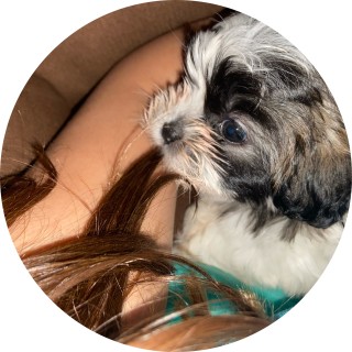 scar_melody213 avatar